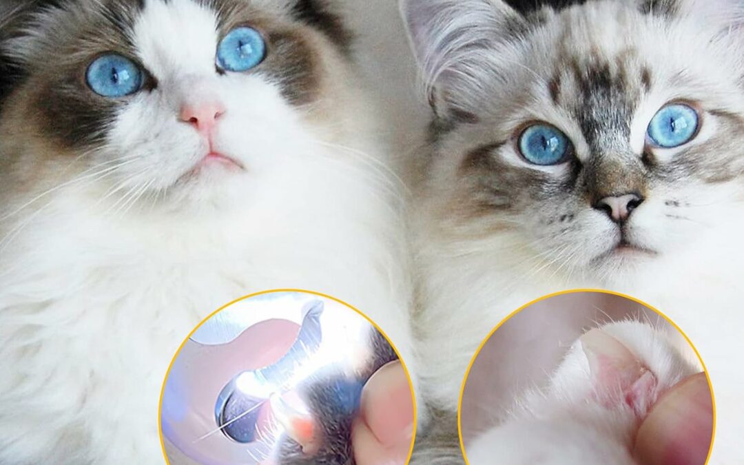 🐾 Cortar las uñas de tu mascota nunca fue tan fácil: mi experiencia con el Ninonly Cortauñas con Luz LED