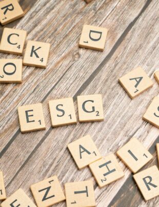 الاستثمار في الأسهم عبر معايير ESG: دليل عملي للمستثمر العصري