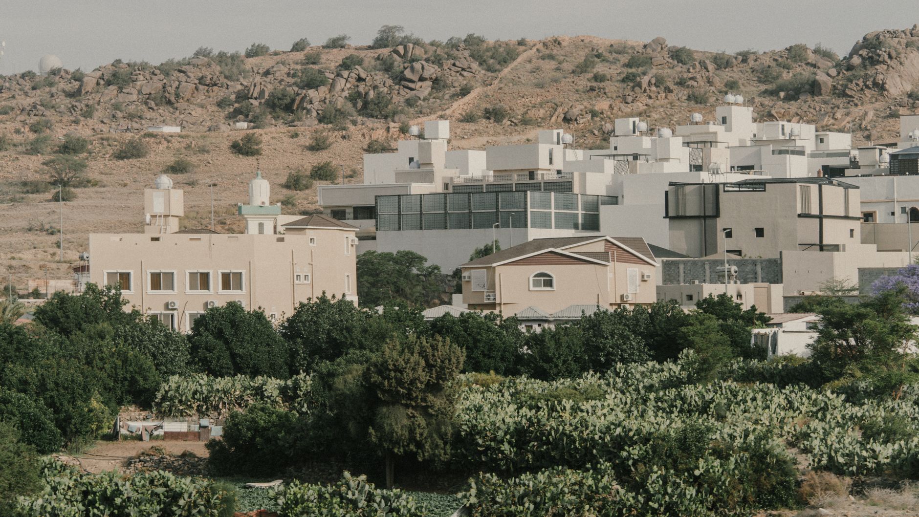 من أين تنبع زيادة الإيجارات في السعودية عندما يتأرجح سعر النفط؟