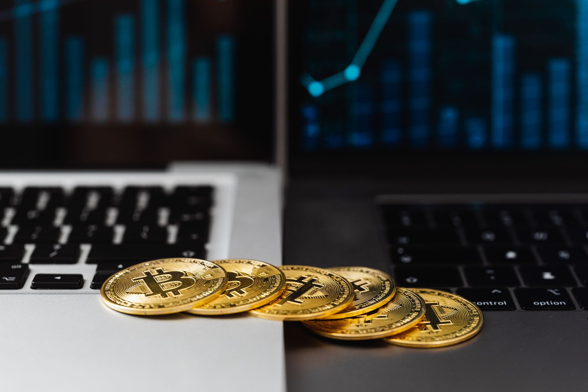 المحفظة الساخنة أم الباردة؟ دليل المستثمر العربي لاختيار الأنسب