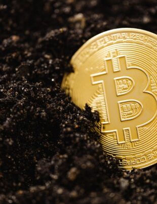 هل تأخذ البيئة في حسابك قبل شراء عملة رقمية؟ دليل عملي لتقييم الاستدامة