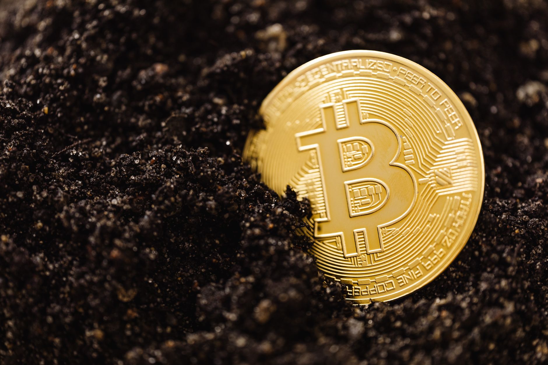 هل تأخذ البيئة في حسابك قبل شراء عملة رقمية؟ دليل عملي لتقييم الاستدامة