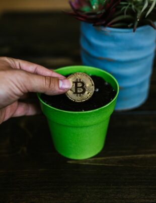 العملات الرقمية المستدامة: كيف تختار مشروعًا صديقًا للبيئة وتستثمر بأمان