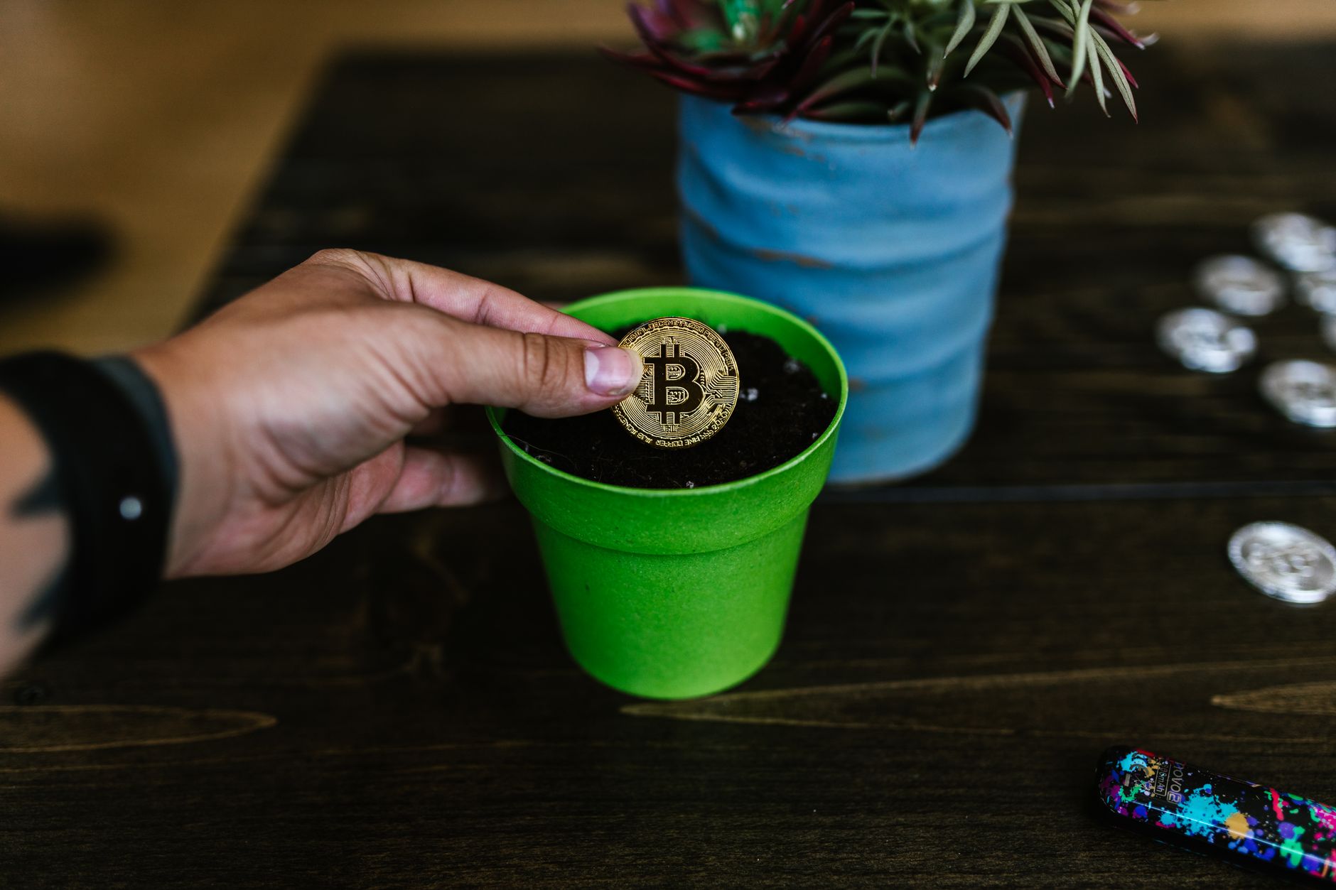 العملات الرقمية المستدامة: كيف تختار مشروعًا صديقًا للبيئة وتستثمر بأمان