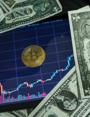 العملات الرقمية في الخليج: التنظيم، المخاطر والفرص الاستثمارية